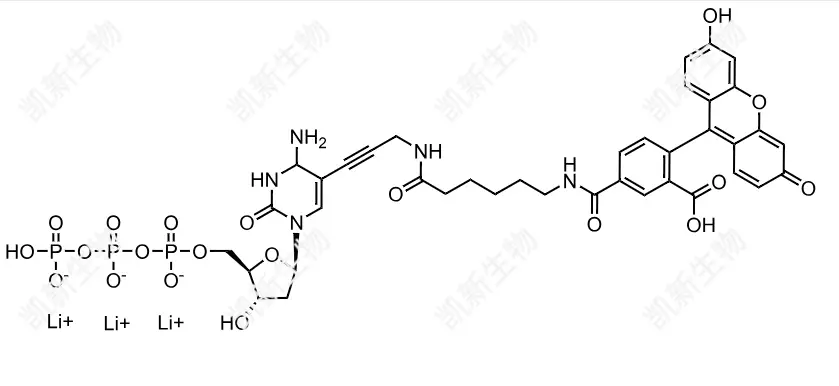 FAM-11-dCTP，熒光素標(biāo)記脫氧胞苷三磷酸：高效熒光標(biāo)記的脫氧胞苷三磷酸衍生物及其分子生物學(xué)應(yīng)用