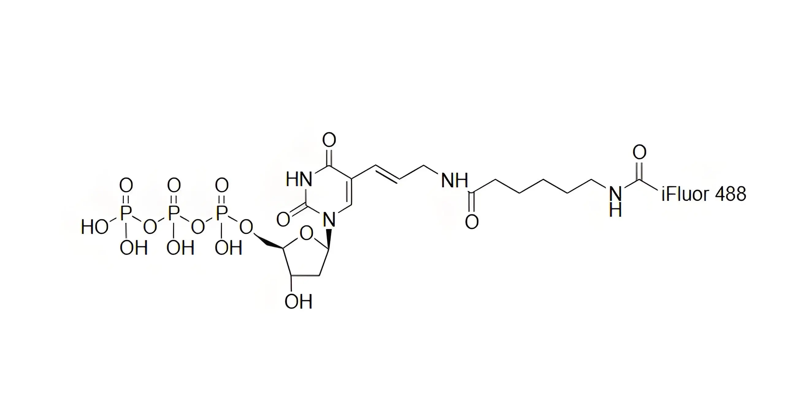 iFluor488-dUTP，iFluor488-脫氧尿苷三磷酸在PCR和逆轉(zhuǎn)錄中的表現(xiàn)